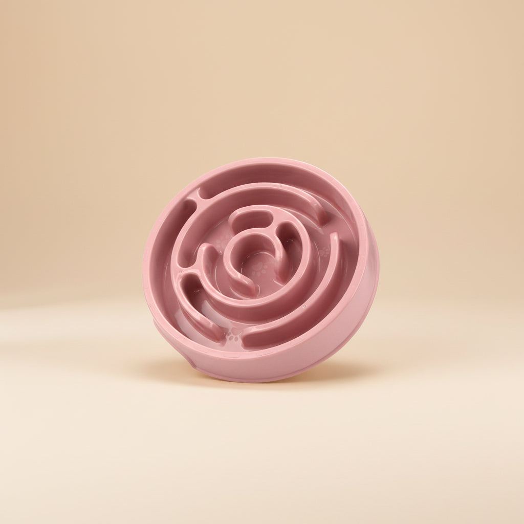 Slow Feeder Pet Bowl for Safer, Healthier Mealtime