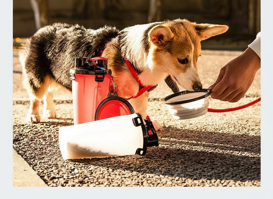 Portable Dog Water Bottle with Foldable Travel Bowl