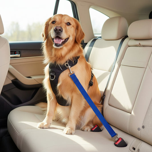 Ceinture de sécurité pour chien pour des trajets plus sereins