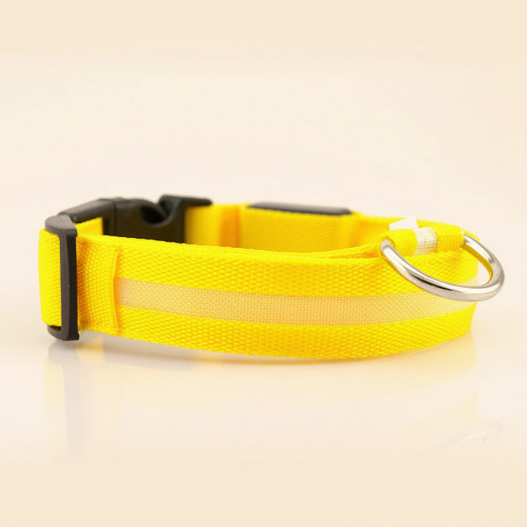LED Safety Dog Collar for Visible, Worry-Free Night Walks