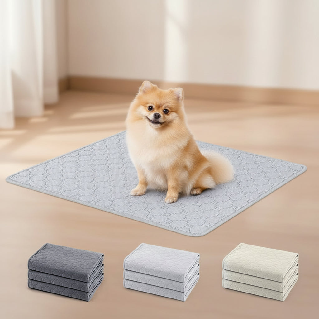 Tapis absorbant lavable et imperméable pour des journées plus propres avec vos animaux de compagnie