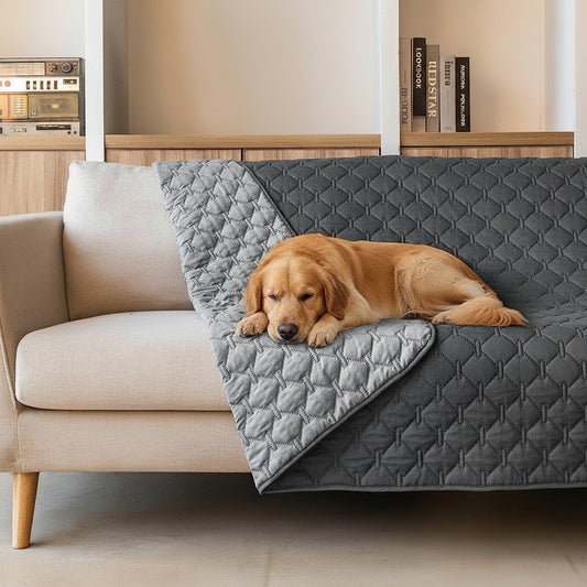 Waterproof Pet Sofa Protector Keeps Your Couch Clean and Scratch-Free