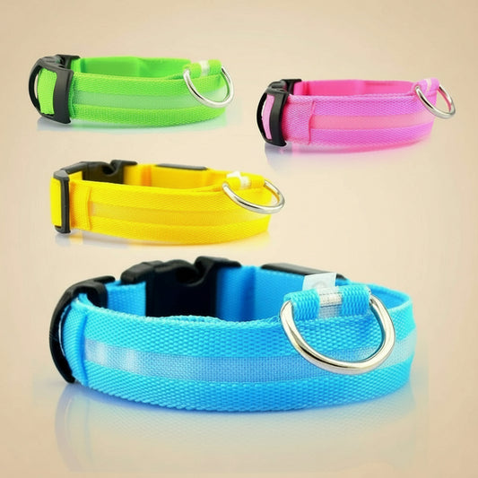 LED Safety Dog Collar for Visible, Worry-Free Night Walks