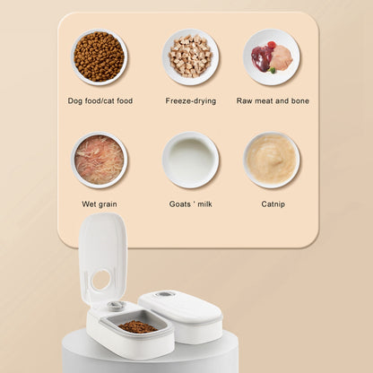 Smart Automatic Pet Feeder for Stress Free Meals On Time