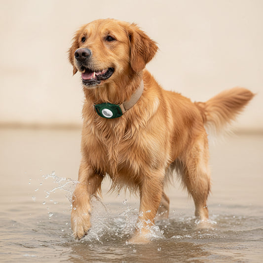 Housse étanche pour AirTag pour un suivi quotidien plus sûr