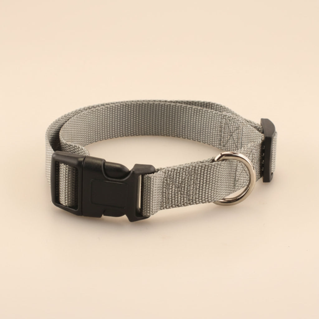 Soft Everyday Dog Collar for Comfort and Daily Walks