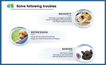 Interactive Treat Puzzle Ball for Fun, Enriching Play and Training