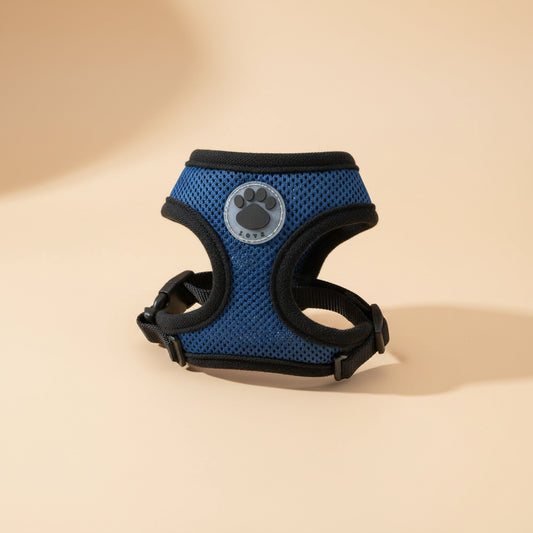 Harnais pour chien en maille respirante pour des promenades quotidiennes confortables