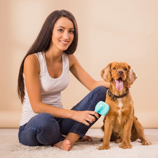 Brosse de toilettage pour chiens et chats pour réduire la perte de poils à la maison