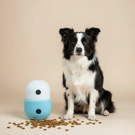 Interactive Treat Puzzle Ball for Fun, Enriching Play and Training