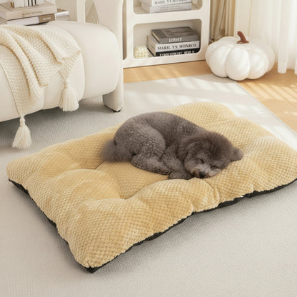 Winter Warm Pet Mat for Cozy Naps and Comfort