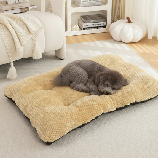Tapis chaud pour animaux de compagnie pour des siestes douillettes et du confort en hiver