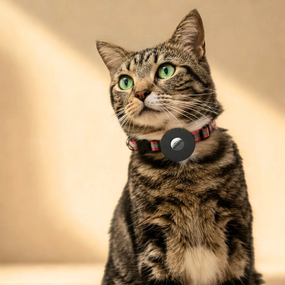 Reflective AirTag Pet Collar for Safer Everyday Adventures