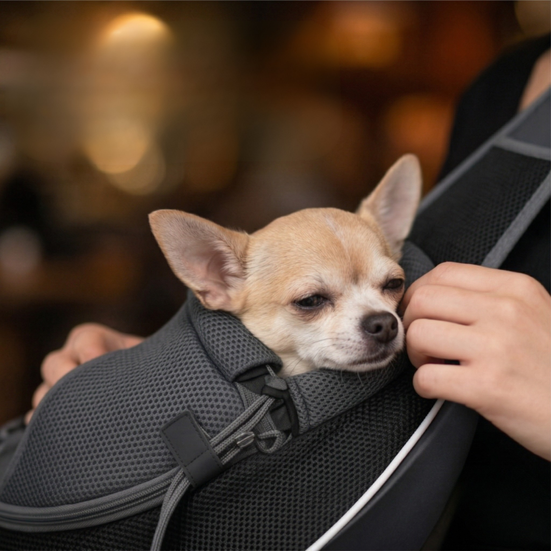 Sac de transport bandoulière pour petits chiens et chats