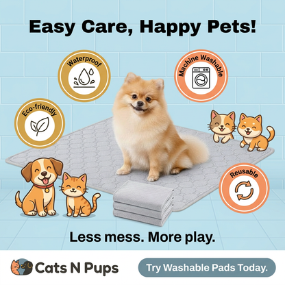 Tapis absorbant lavable et imperméable pour des journées plus propres avec vos animaux de compagnie