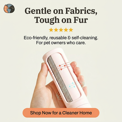 Brosse réutilisable anti-poils pour vêtements et canapés