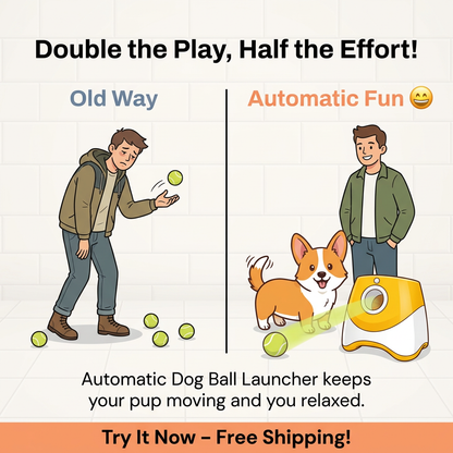 Automatic Dog Ball Launcher for Active Play