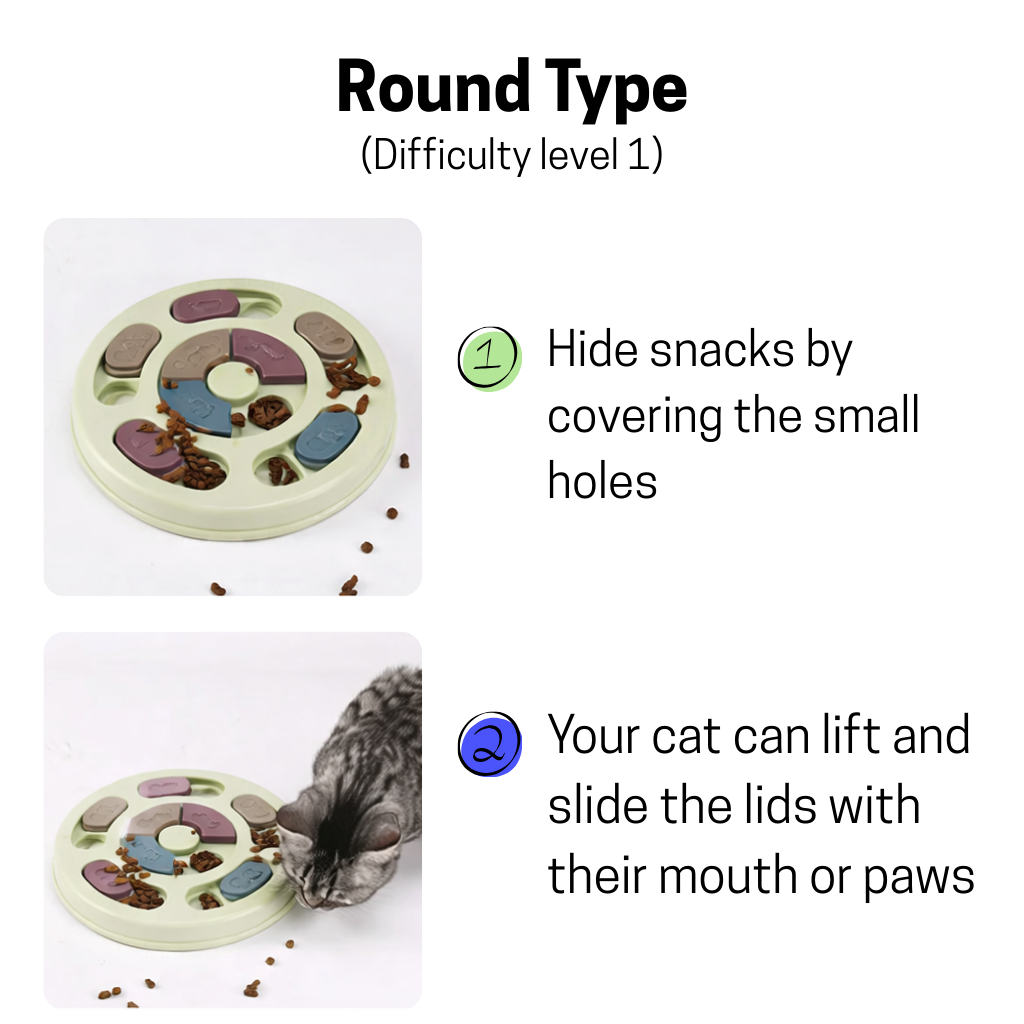 Interactive Cat Puzzle Feeder for Slower, Happier Meals