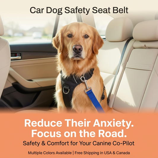 Car Dog Safety Seat Belt for Safer, Calmer Rides