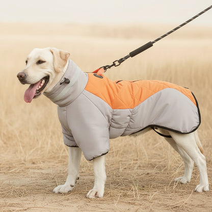 Manteau d'hiver imperméable pour chien, pour des promenades chaudes et agréables