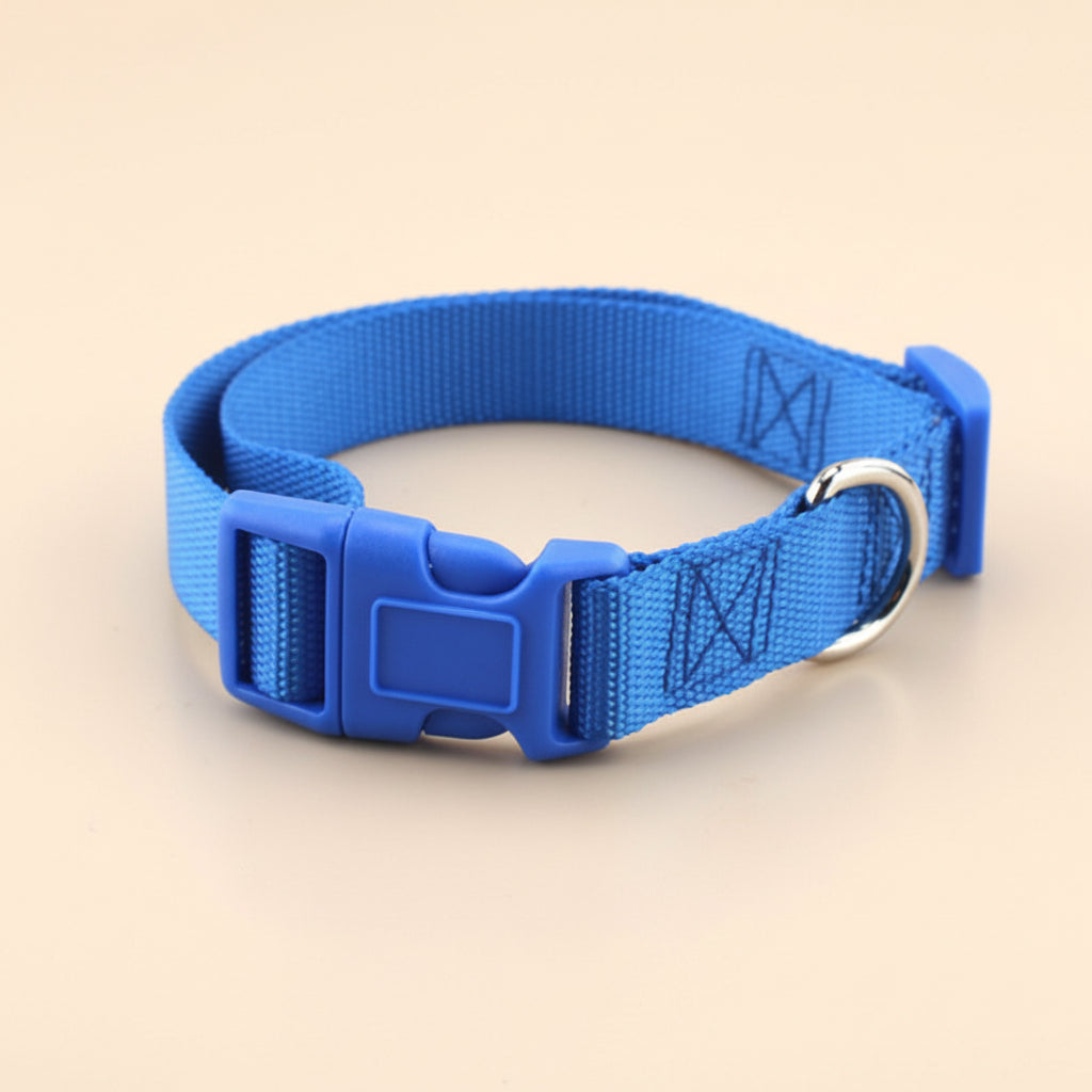 Soft Everyday Dog Collar for Comfort and Daily Walks