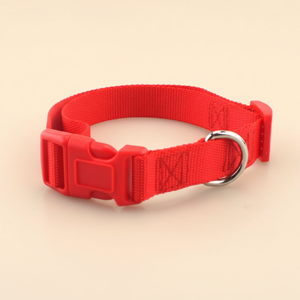 Soft Everyday Dog Collar for Comfort and Daily Walks