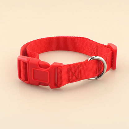 Soft Everyday Dog Collar for Comfort and Daily Walks