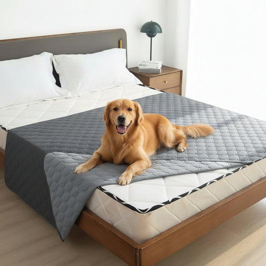 Waterproof Pet Sofa Protector Keeps Your Couch Clean and Scratch-Free