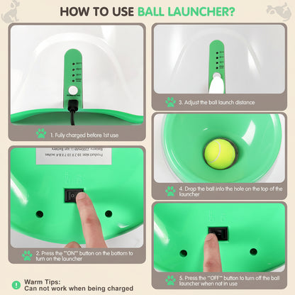 Automatic Dog Ball Launcher for Active Play