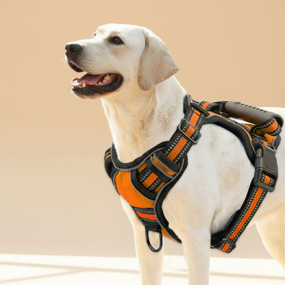 No-Pull Breathable Dog Harness for Calm, Easy Walks
