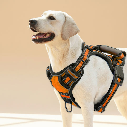 Harnais anti-traction respirant pour chiens, pour des promenades calmes et faciles