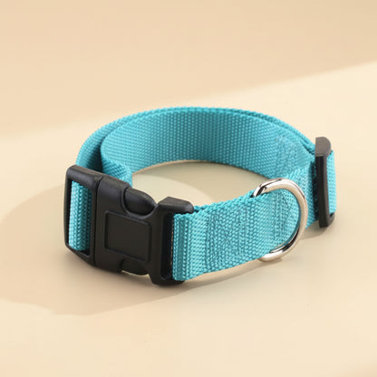 Soft Everyday Dog Collar for Comfort and Daily Walks