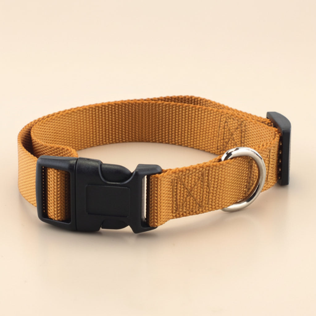 Soft Everyday Dog Collar for Comfort and Daily Walks