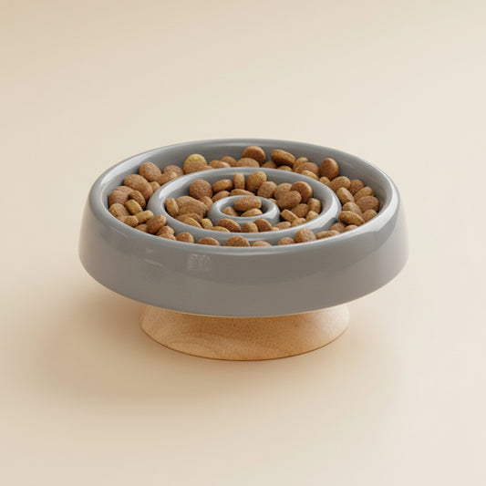 Ceramic Slow Feeder Cat Bowl for Safer, Healthier Mealtime