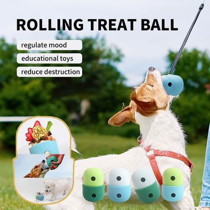 Interactive Treat Puzzle Ball for Fun, Enriching Play and Training