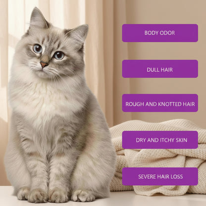 Shampoing Lavande pour Animaux de Compagnie Chats et Chiens Soulage et Adoucit le Pelage