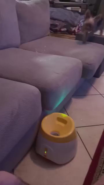 Automatic Dog Ball Launcher for Active Play