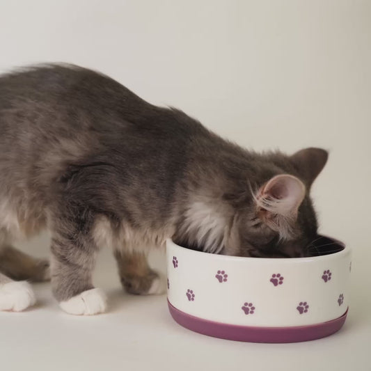 Interactive Cat Puzzle Feeder for Slower, Happier Meals
